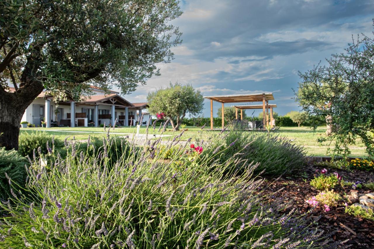 Residence Pace&Relax Marina di Grosseto Exterior foto
