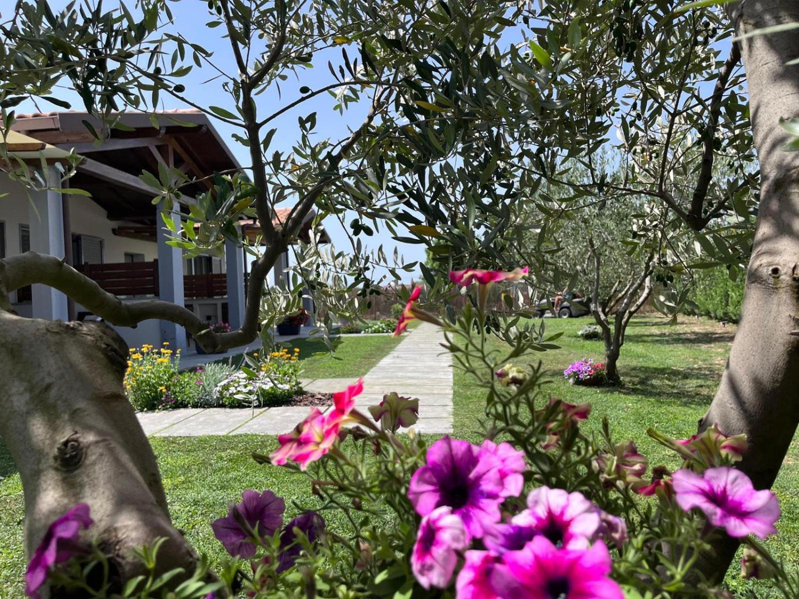 Residence Pace&Relax Marina di Grosseto Exterior foto