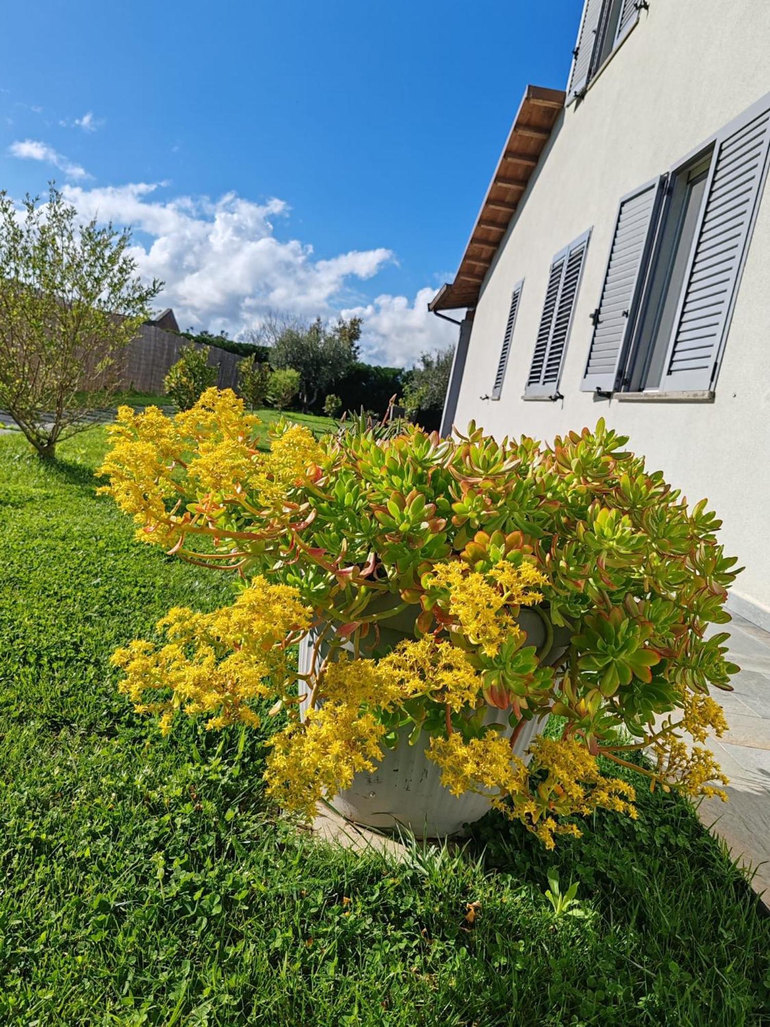 Residence Pace&Relax Marina di Grosseto Exterior foto