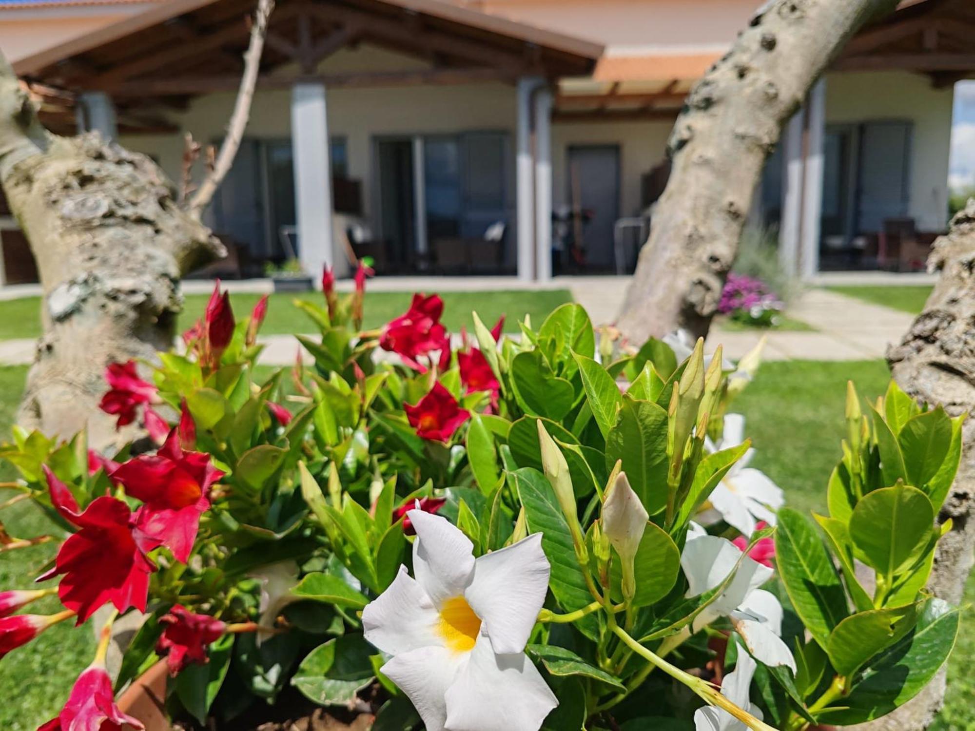 Residence Pace&Relax Marina di Grosseto Exterior foto