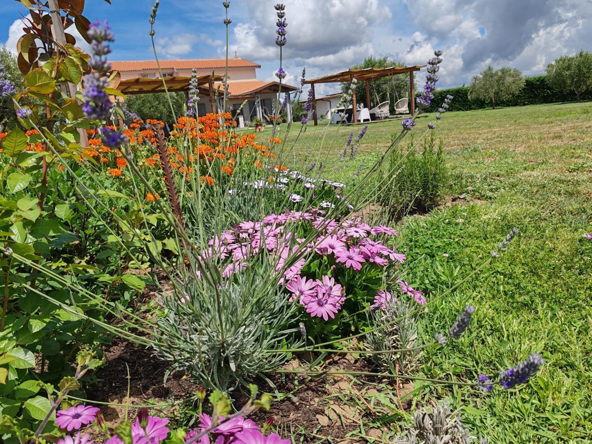 Residence Pace&Relax Marina di Grosseto Exterior foto