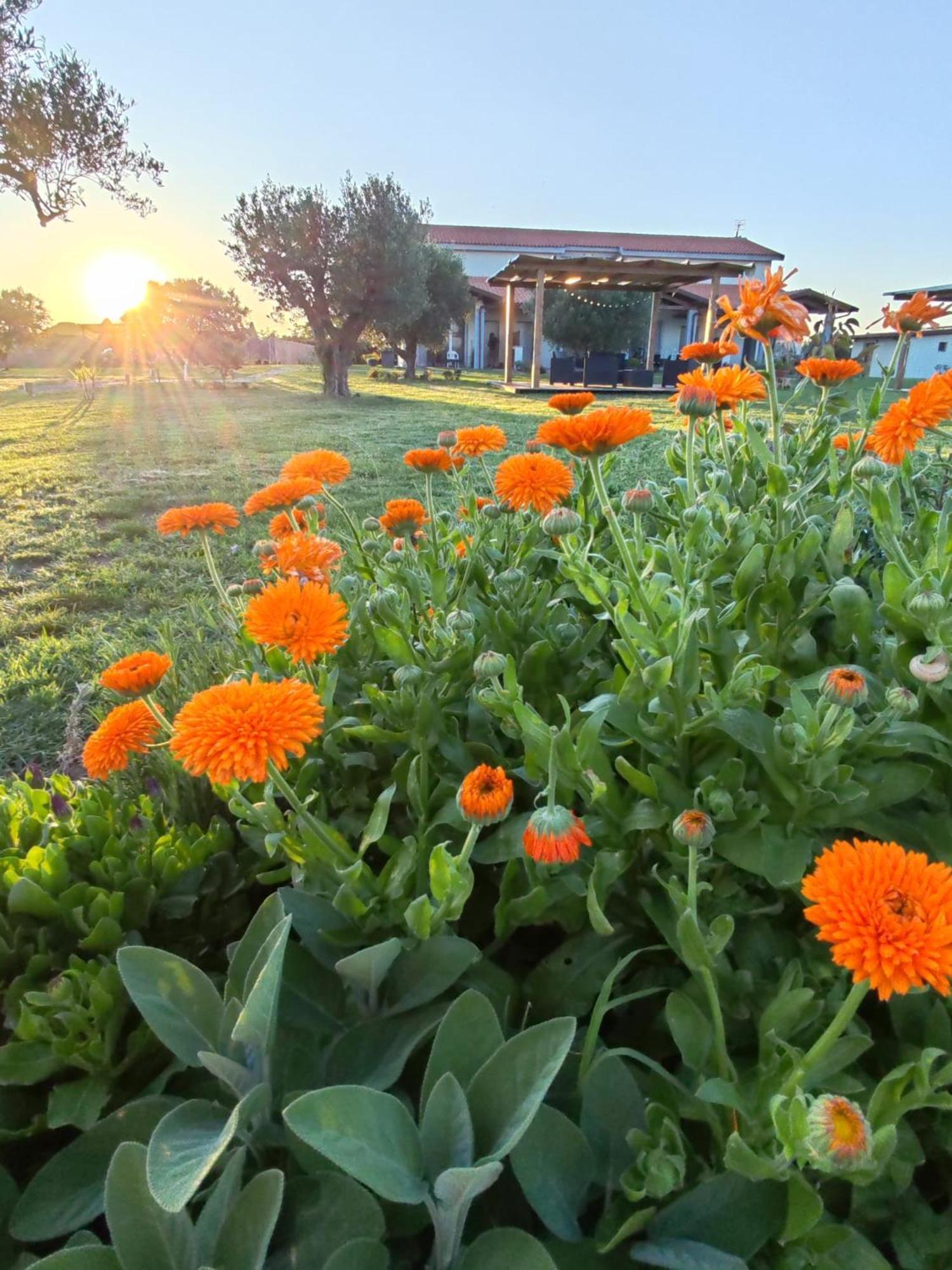 Residence Pace&Relax Marina di Grosseto Exterior foto