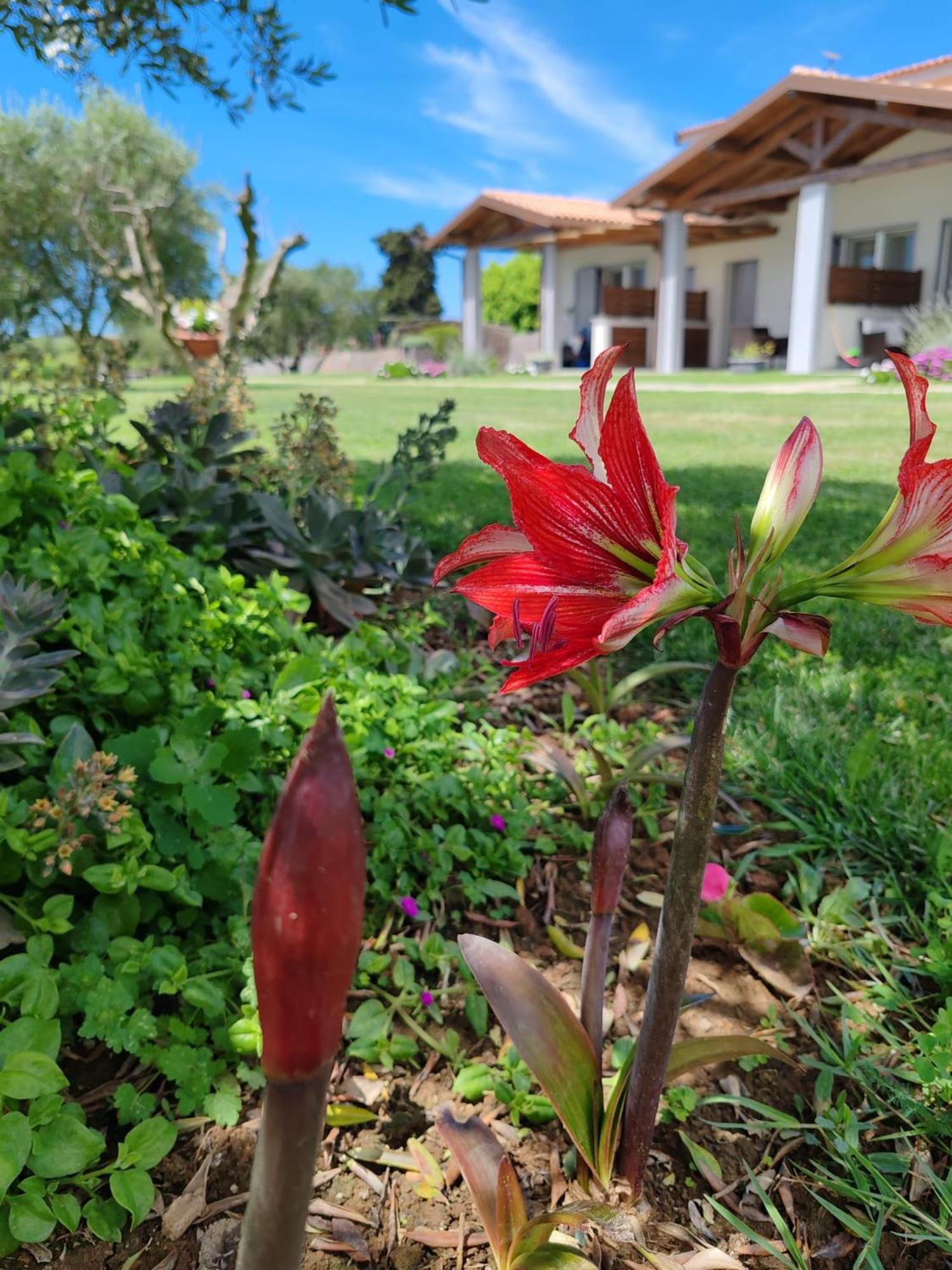 Residence Pace&Relax Marina di Grosseto Exterior foto