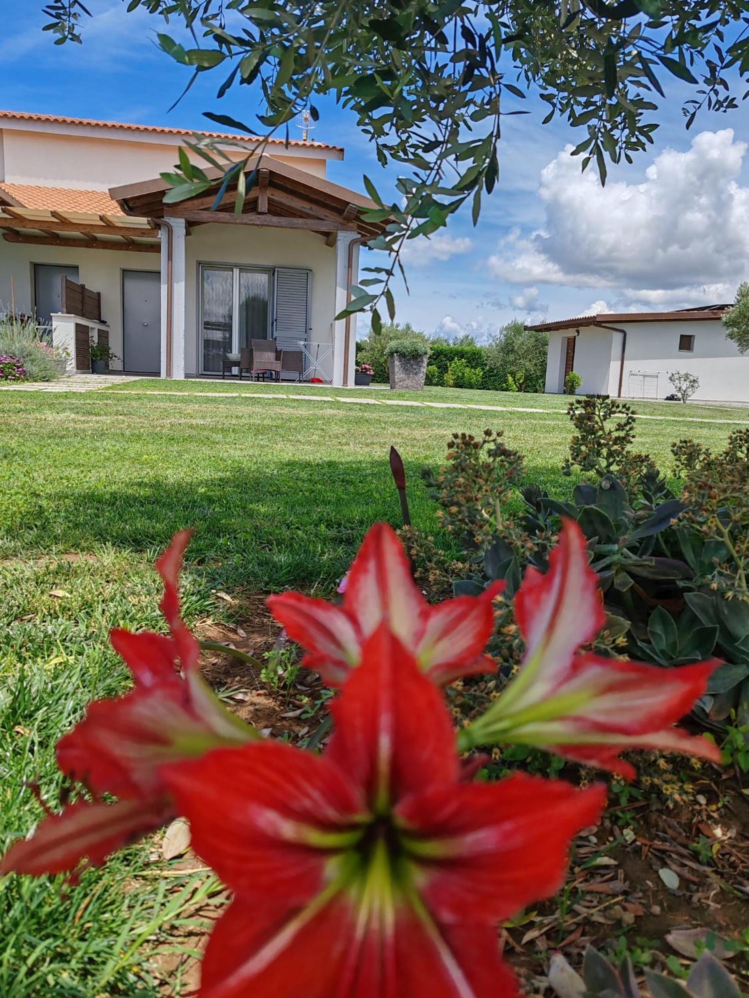Residence Pace&Relax Marina di Grosseto Exterior foto