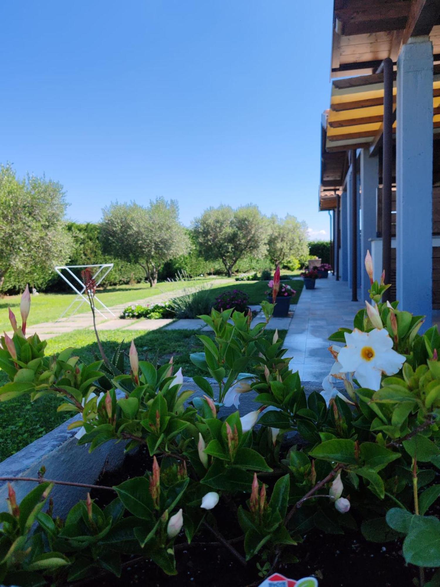 Residence Pace&Relax Marina di Grosseto Exterior foto